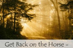 Get Back on the Horse – The Road to Change