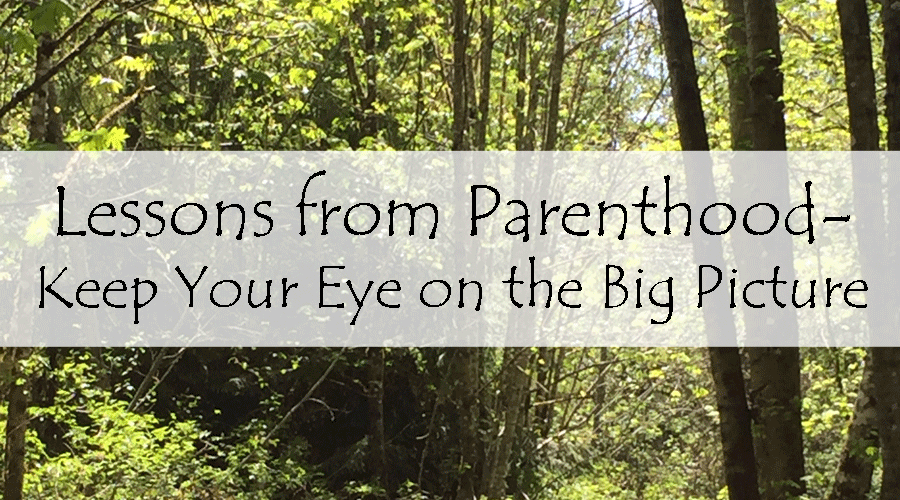Lessons from Parenthood – Keep Your Eye on the Big Picture