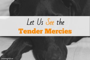Let Us See the Tender Mercies