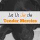 Let Us See the Tender Mercies