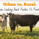 Urban vs. Rural:  When Looking Back Pushes Us Forward