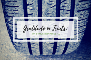 Gratitude in Trials:  My 5-Hour Trip to Costco