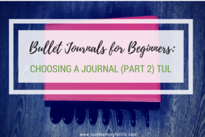 Bullet Journals for Beginners: Choosing a Journal (Part 2) Tul